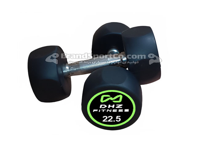 دمبل گرد استپدار 22.5 کیلویی DHZ